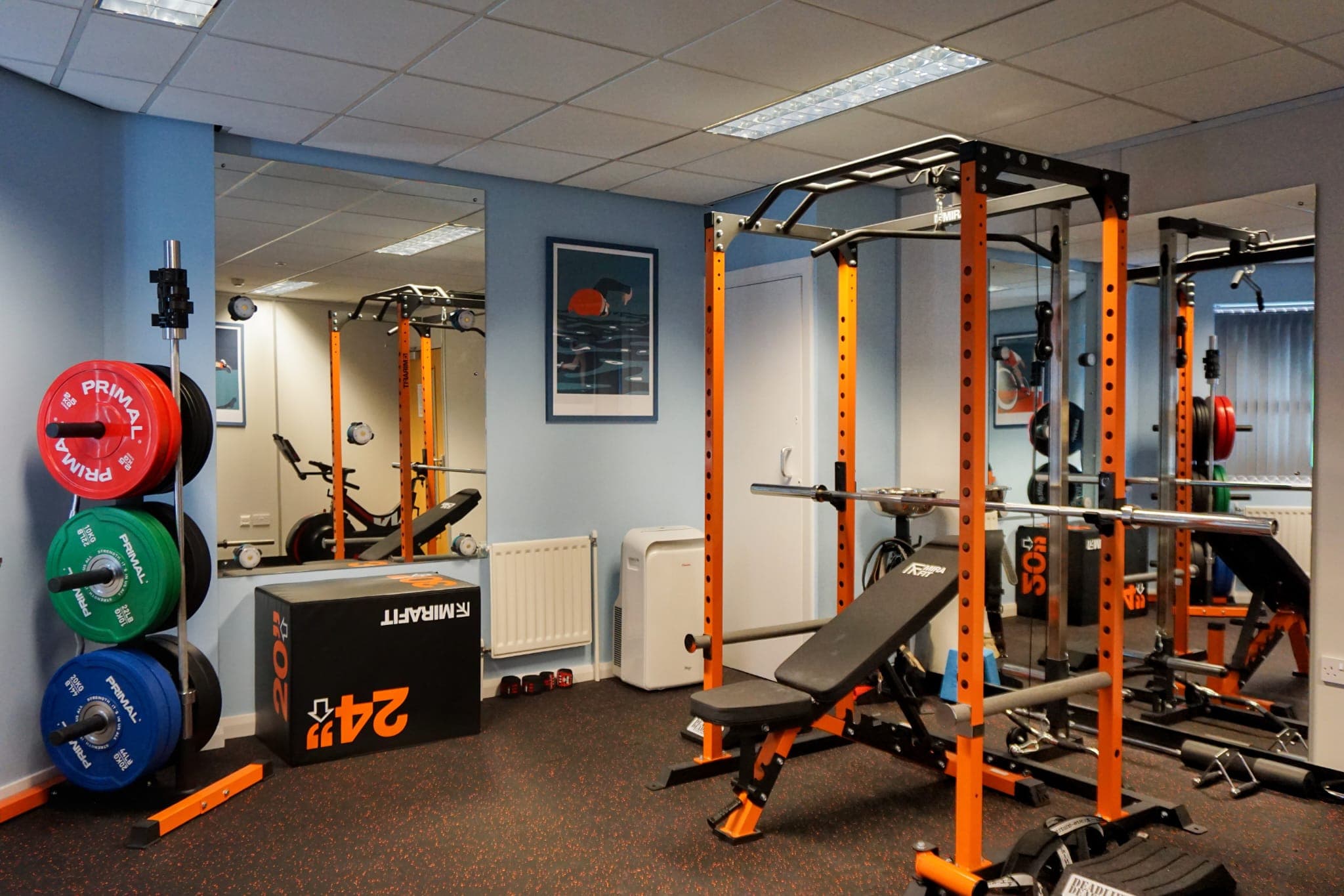 Fitness assessment